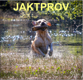 JAKTPROV