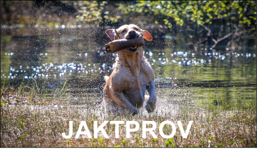 JAKTPROV